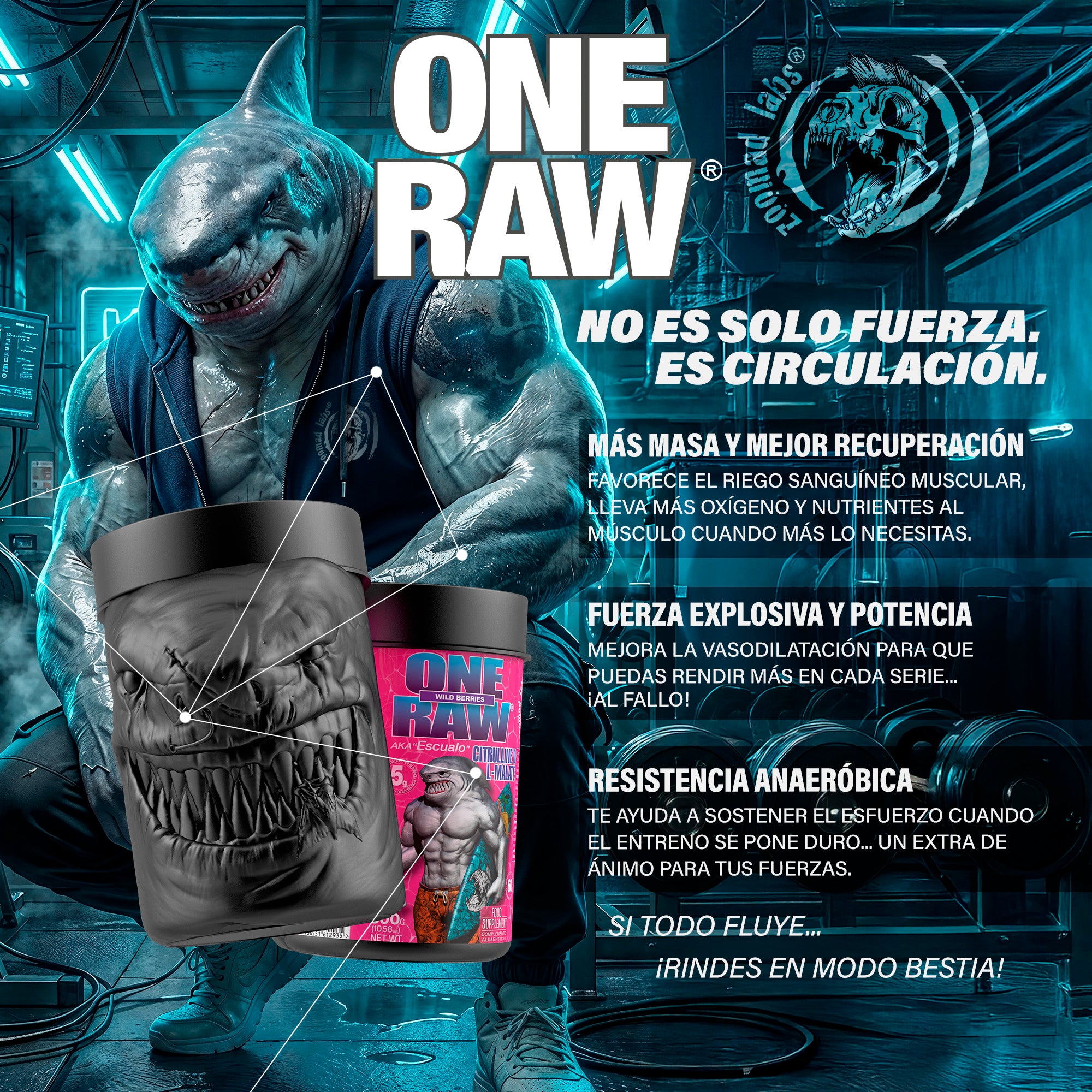 ONE RAW® Citrulina D,L-Malato