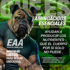 CARETAKER® II EAA Glow · AMINOÁCIDOS