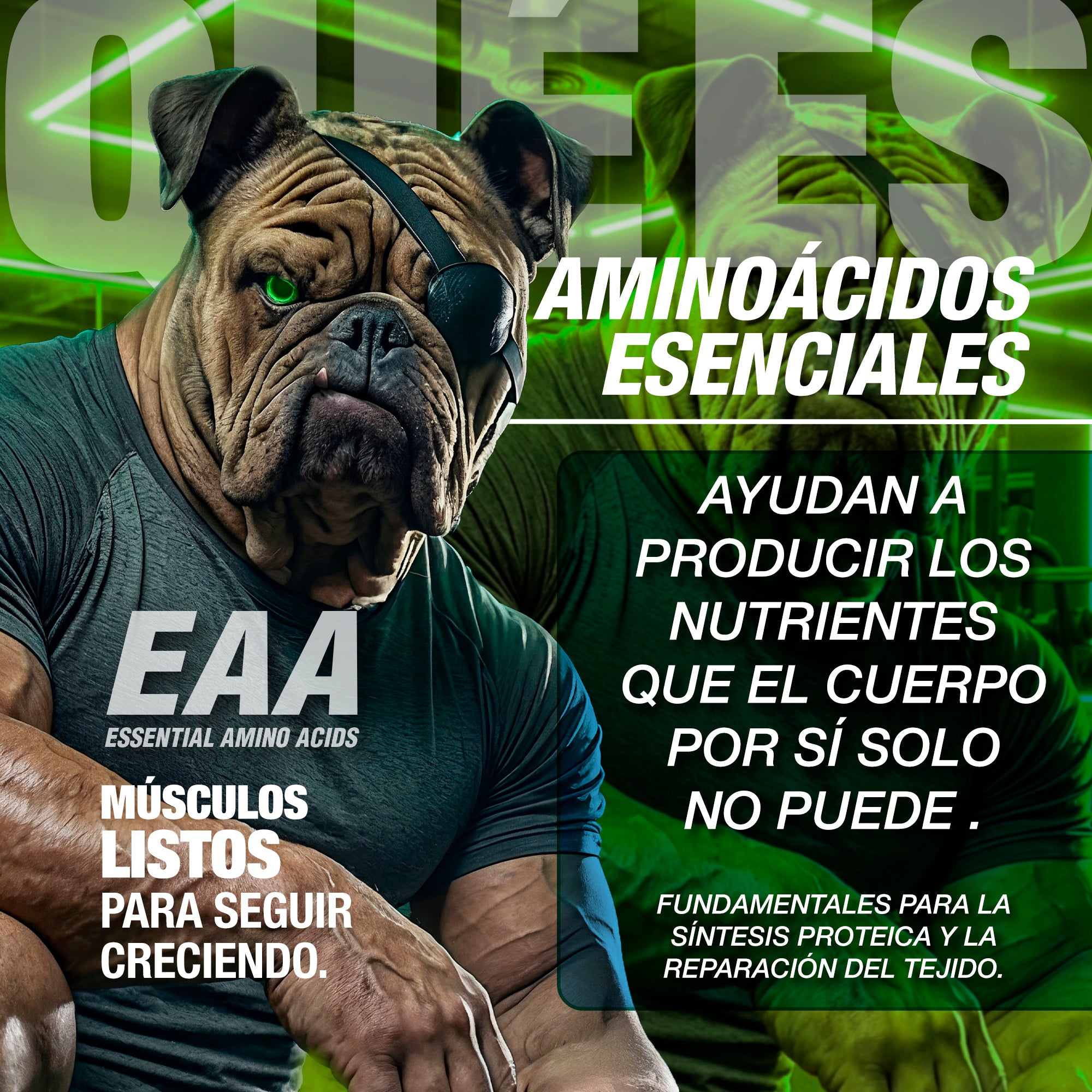 CARETAKER® II EAA Glow · AMINOÁCIDOS