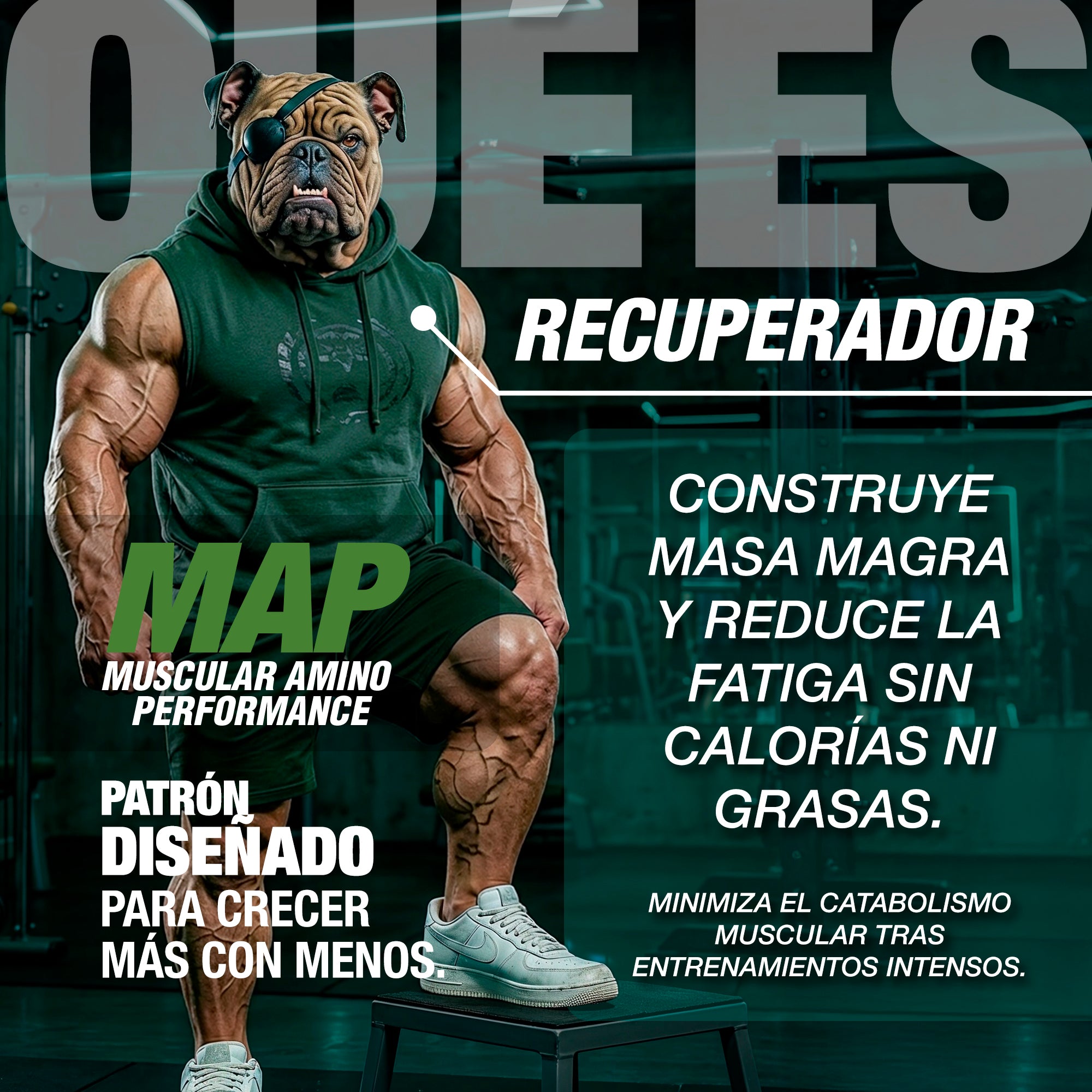 CARETAKER® MAP · AMINOÁCIDOS