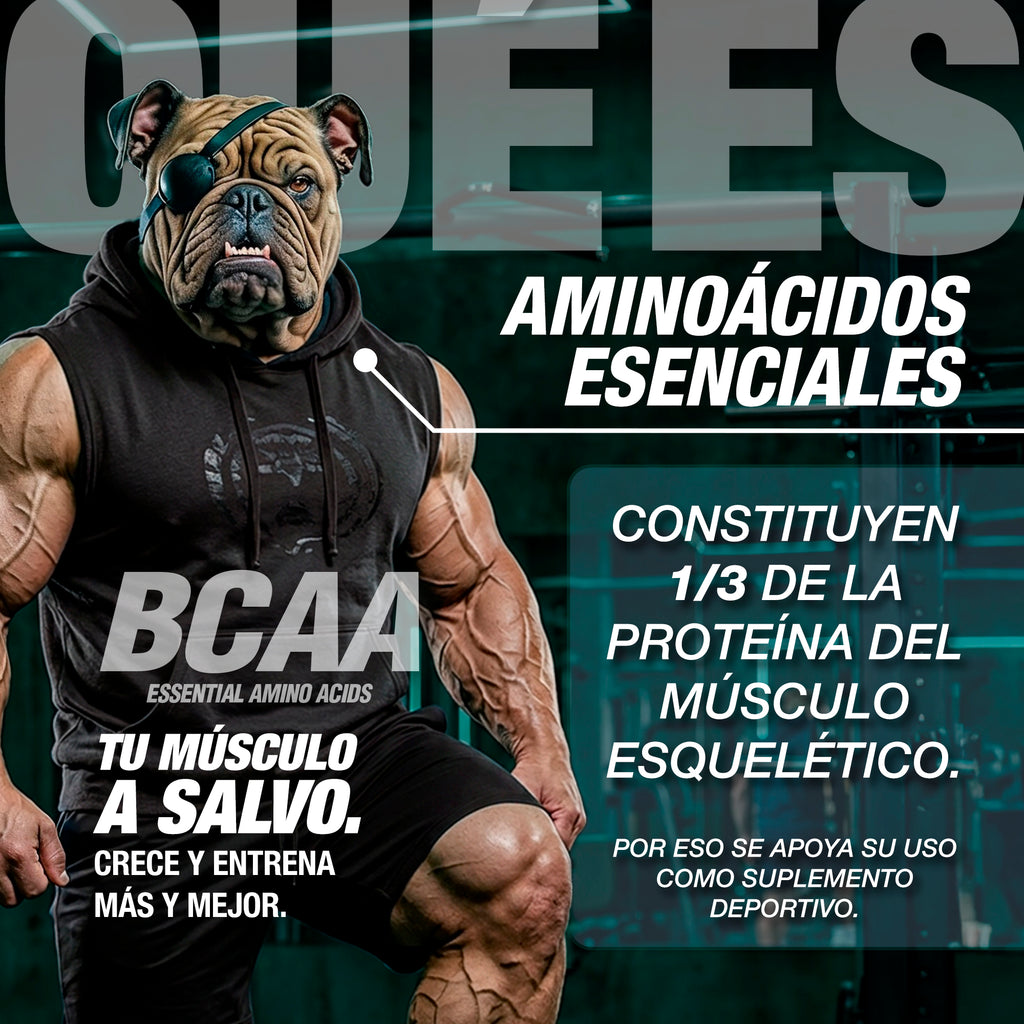 CARETAKER® 10:1:1 · AMINOÁCIDOS