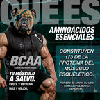 CARETAKER® 10:1:1 · AMINOÁCIDOS