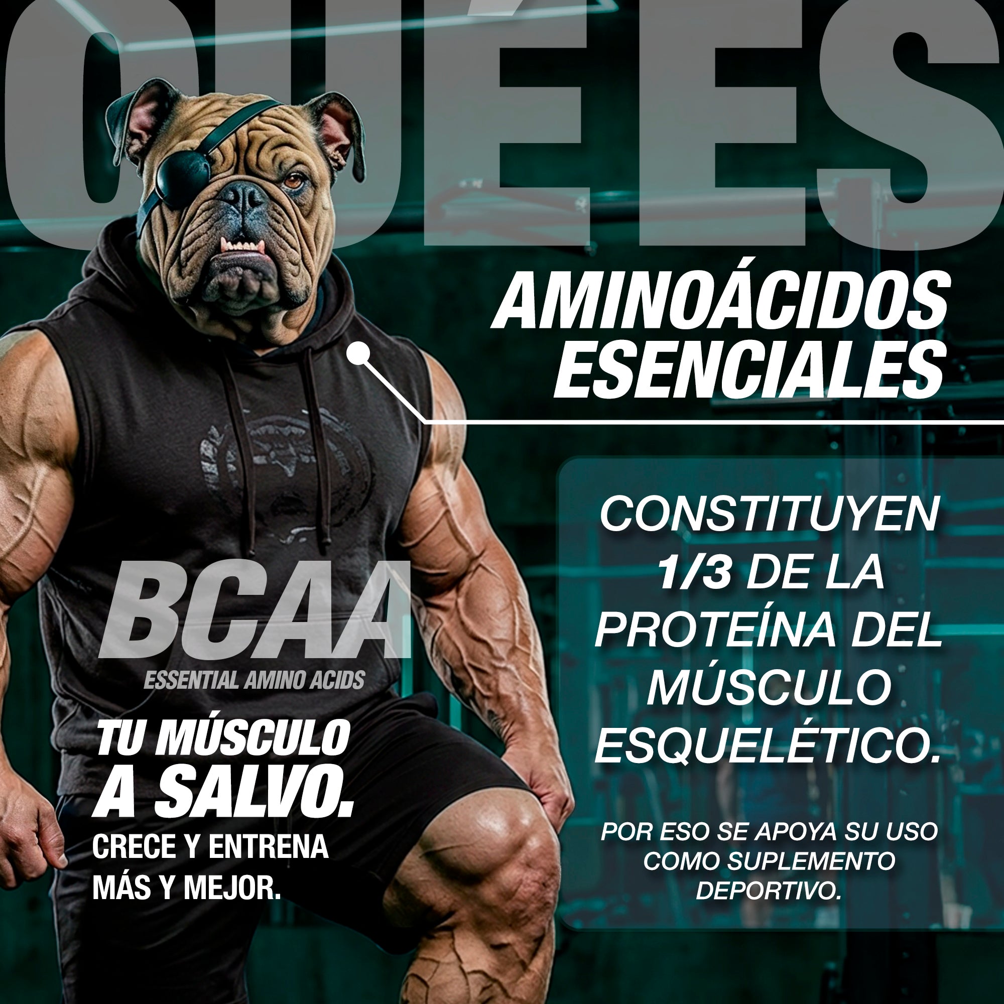 CARETAKER® 10:1:1 · AMINOÁCIDOS
