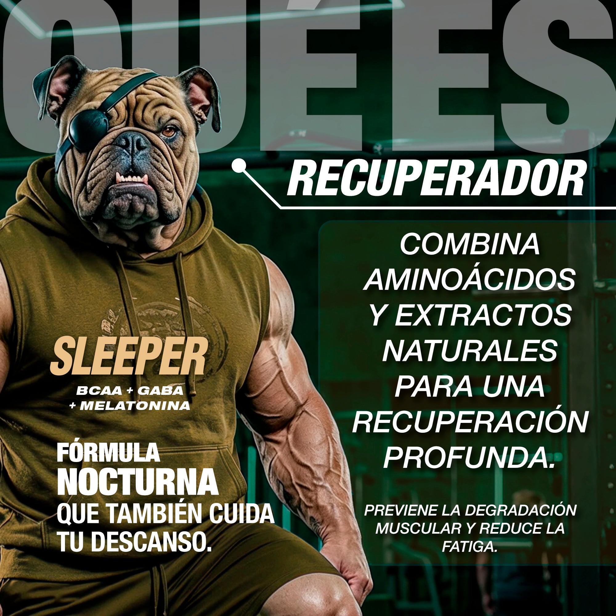 CARETAKER® sleeper · AMINOÁCIDOS
