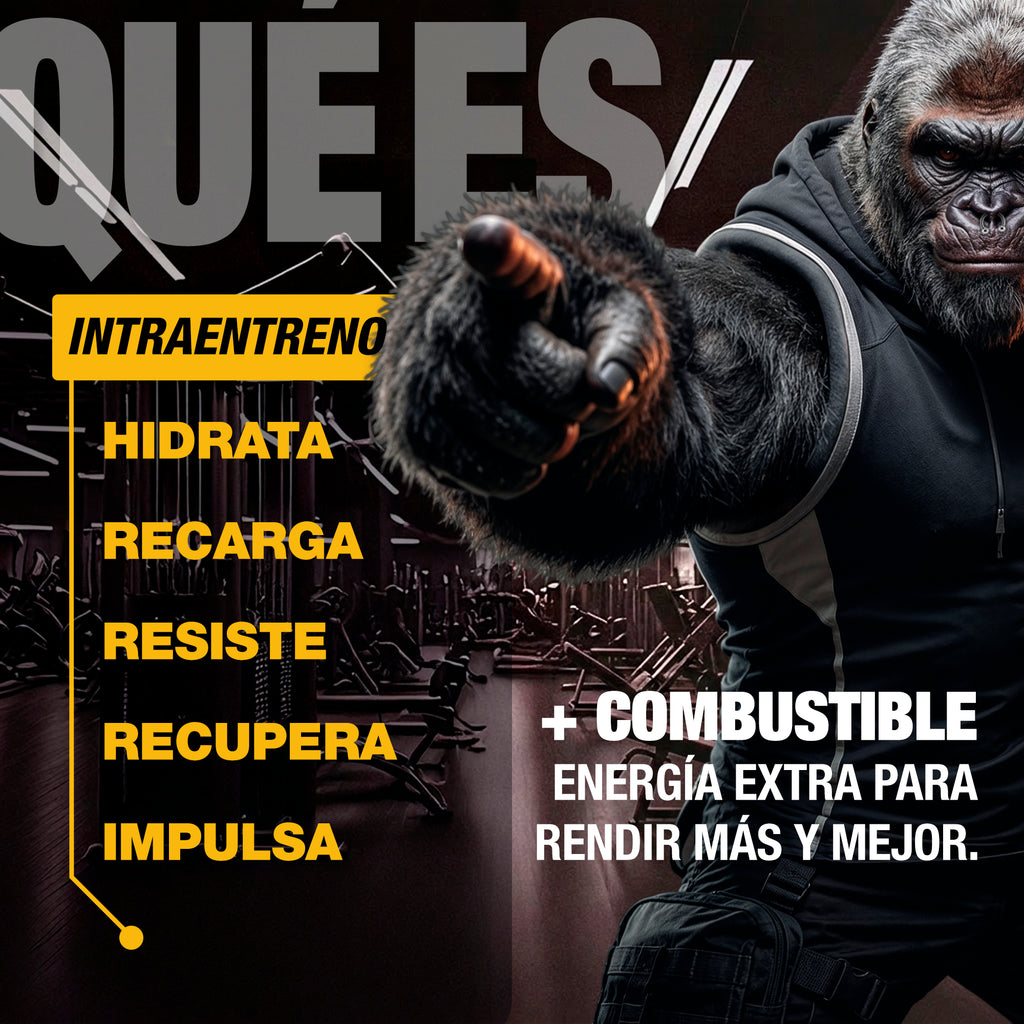MOONSTRUCK® II Fuel · INTRA-ENTRENO