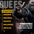 MOONSTRUCK® II Fuel · INTRA-ENTRENO