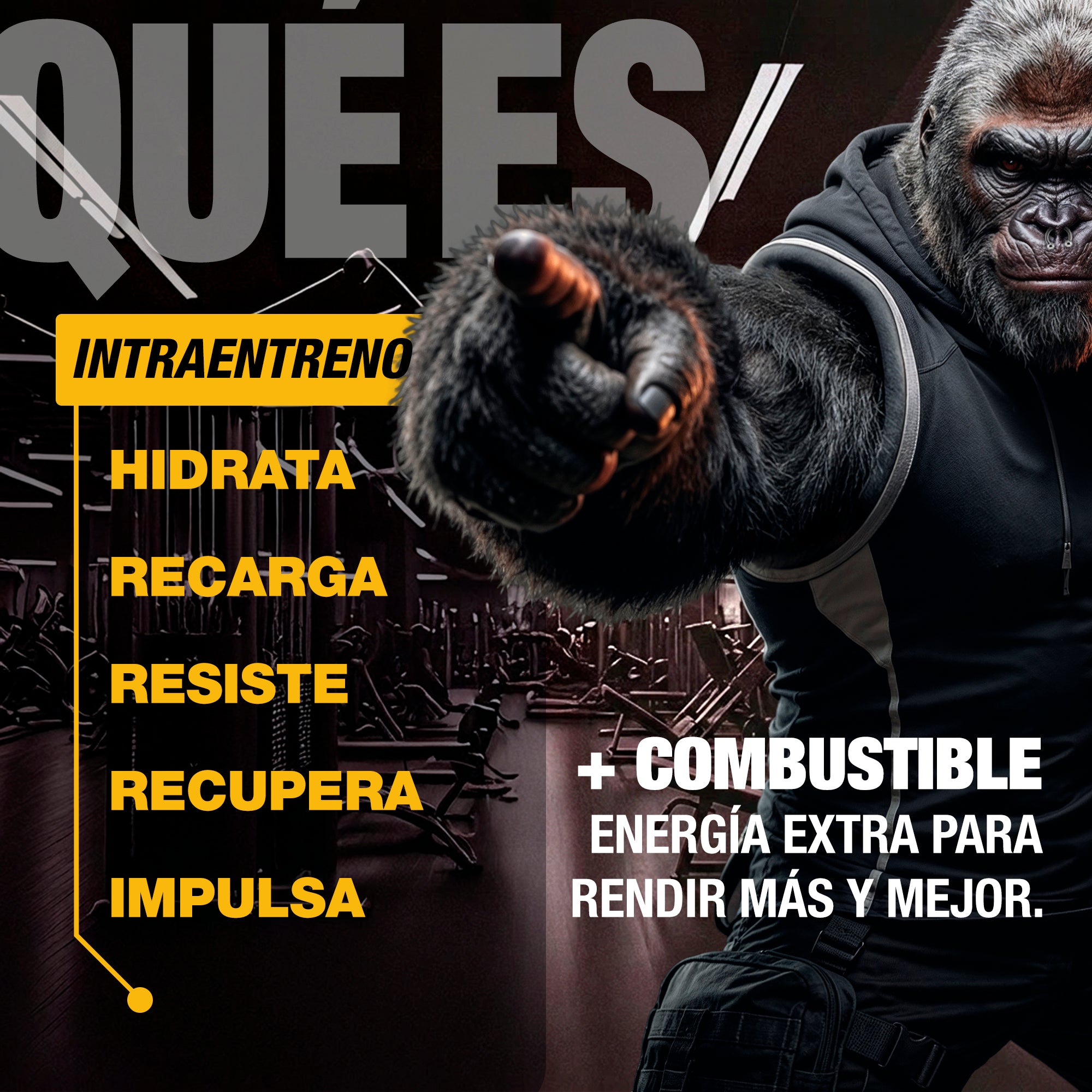 MOONSTRUCK® II Fuel · INTRA-ENTRENO